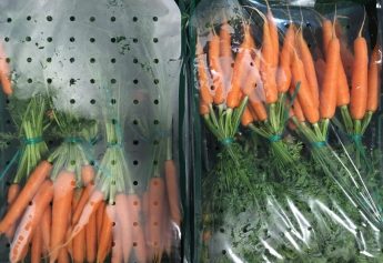 Ibosque Direct Sourcing