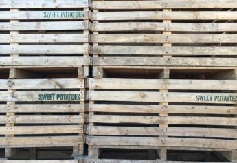 Ibosque Direct Sourcing